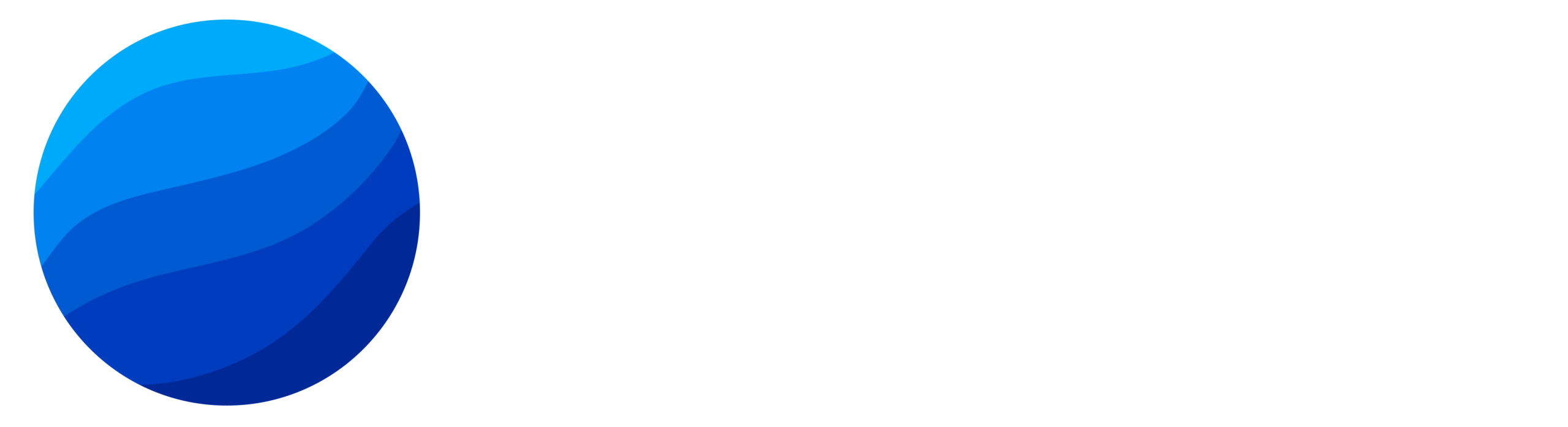 Vibrantz-RGB-Logo-White